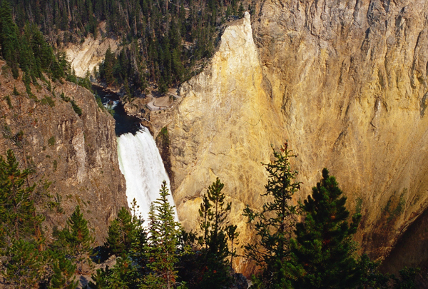 20000801   Yellowstone 103